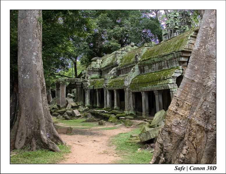 2006 - 07 - Temple angkor - Ta Prohm 29